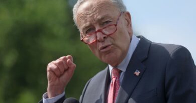 Schumer demands Texas end judge cherry-picking after 'flawed' abortion pill decision