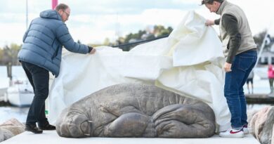 Freya, the Walrus Killed by Norwegian Officials, Is Immortalized as a Sculpture