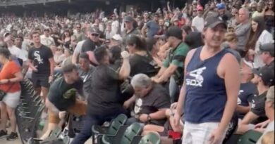 Even Baseball Gets Violent in Chicago-Brawl in Stands at White Sox Game