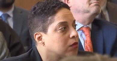 St. Louis Judge Moves to Hold Circuit Attorney Kim Gardner "Indirect Criminal Contempt" After Her Office Fails to Show Up for Shooting Trial | The Gateway Pundit | by Jim Hoft