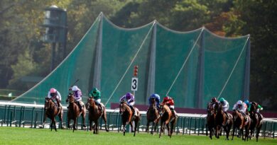 Arc at ParisLongchamp