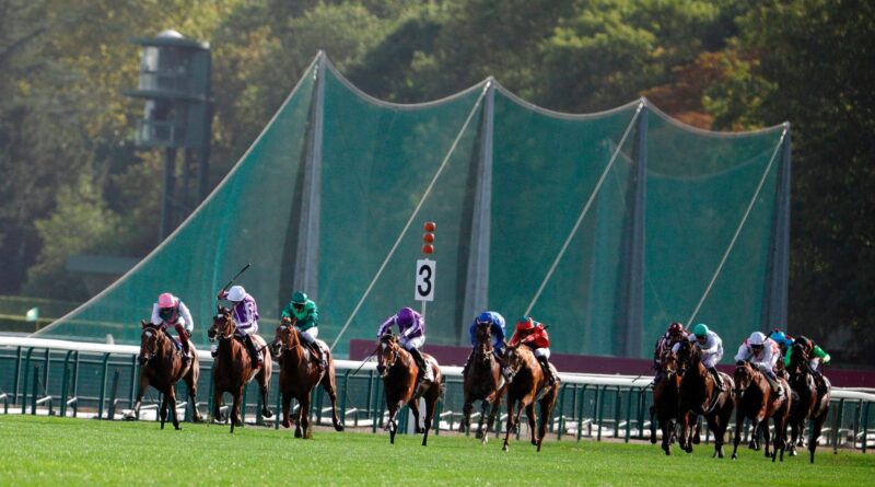 Arc at ParisLongchamp