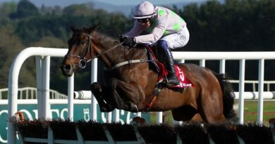 Gaelic Warrior and Paul Townend win at Punchestown