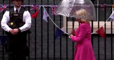 Jill Biden Arrives in London in $1,200 Dior Heels and Bright Pink Outfit as Feeble Joe Stays Behind (VIDEO) | The Gateway Pundit | by Cristina Laila