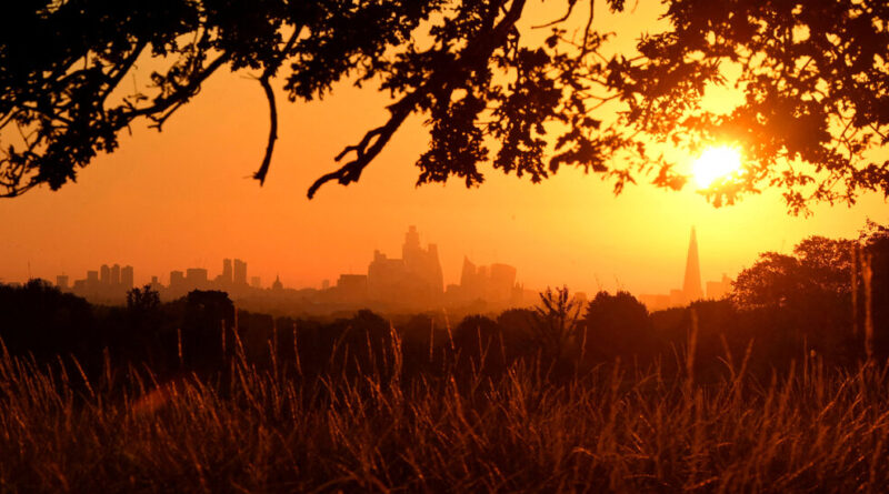 El Niño, Global Weather Pattern Tied to Intense Heat, Is Expected by Fall