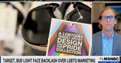 MSNBC Guest Claims Conservatives Boycotting Target is ‘Literally Terrorism’ | The Gateway Pundit | by Cassandra MacDonald