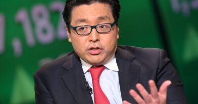 Tom Lee highlights the top picks in his market-beating portfolio