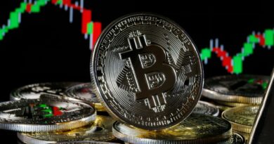 Bitcoin rises as investors await vote on tentative debt ceiling agreement