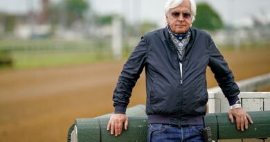 Horse trained by Bob Baffert euthanized ahead of the Preakness