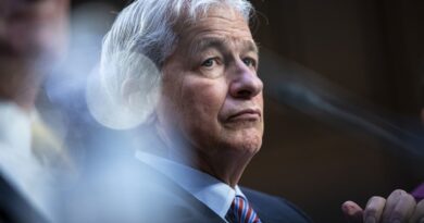 JPMorgan rejects claim that Dimon and Staley discussed Epstein: 'We believe this is false'