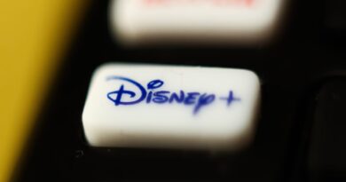 Here's what Blue Line Futures' Bill Baruch expects from Disney this earnings season