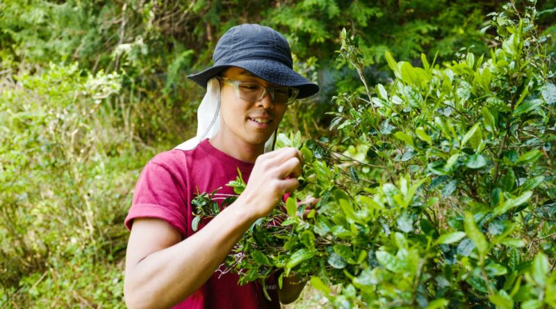 Want to buy a cheap house in rural Japan? This millennial farmer offers his advice