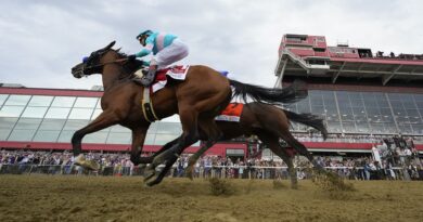 Bob Baffert's National Treasure wins Preakness, hours after another of his horses was euthanized