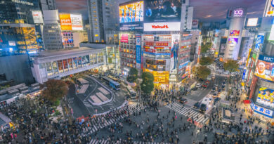 Wall Street sees further upside for Japan stocks as they notch a fresh three-decade high