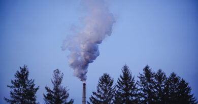 E.P.A. Proposes First Limits on Climate Pollution From Existing Power Plants