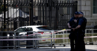 Car Crashes Into Downing Street Gates in London