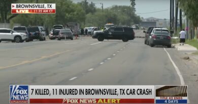 DEVELOPING: 7 Confirmed Dead, and 11 Injured After Car Runs into Pedestrians in Brownsville, Texas - Suspect Arrested | The Gateway Pundit | by Jim Hoft