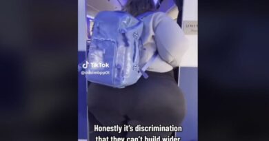 TikTok Personality Accuses United Airlines of Discrimination Because She Can't Squeeze Down the Aisles (Video) | The Gateway Pundit | by Jim Hoft