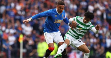 James Tavernier and Reo Hatate feature in the Scottish Premiership team of the season