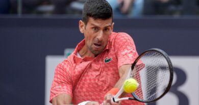 Novak Djokovic has knocked Cameron Norrie out of the Italian Open