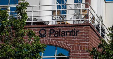 Tech leaders are calling for an A.I. pause because they have no product ready, Palantir CEO says