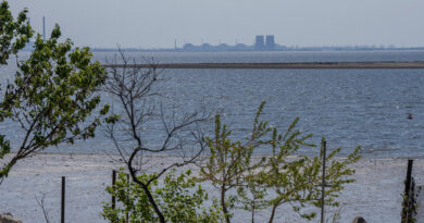 U.N. Nuclear Official Arrives at Zaporizhzhia Plant to Assess Safety