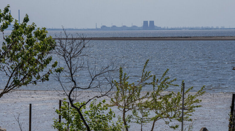 U.N. Nuclear Official Arrives at Zaporizhzhia Plant to Assess Safety