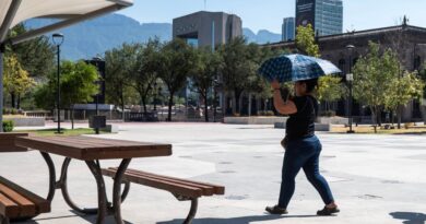 Mexico Is Reeling From Soaring Temperatures, Too