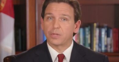 Clinton-Appointed Judge Temporarily Blocks DeSantis Drag Show Law | The Gateway Pundit | by Cristina Laila | 42