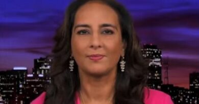 Tucker Carlson Lawyer Harmeet Dhillon Stops Appearing on FOX News, Urges Republican Lawmakers to do the Same | The Gateway Pundit | by Mike LaChance | 38