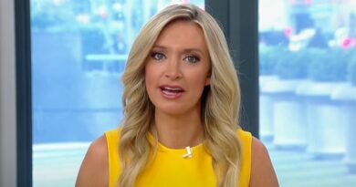 McEnany Asked Each 2024 GOP Contender Their Stance on School Safety - Here's What They Said