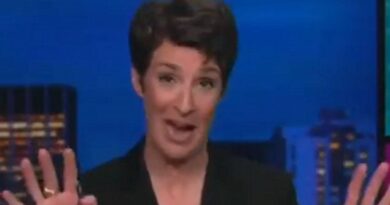 MSNBC Host Rachel Maddow Joins Geraldo - Suggests DOJ Should Offer Trump Plea Deal That Prevents Him From Running in 2024 (VIDEO) | The Gateway Pundit | by Anthony Scott