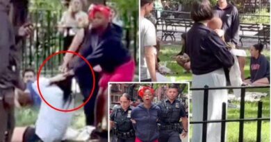 WATCH: Crazed Woman Assaults Several Bystanders During 30-Minute Rampage in Manhattan - Onlookers Gasp in Horror as She Targets Mom and Little Baby | The Gateway Pundit | by Cullen Linebarger