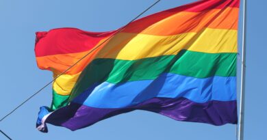 SoCal: Orange County Bans Pride Flags From Being Flown on County Properties | The Gateway Pundit | by Cristina Laila | 42