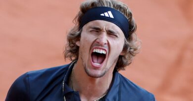 Alexander Zverev celebrates winning his quarterfinal match at the French Open