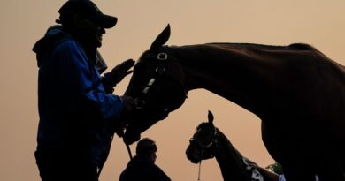 Haze caused by northern wildfires hangs over horses and their handlers ahead of the Belmont Stakes