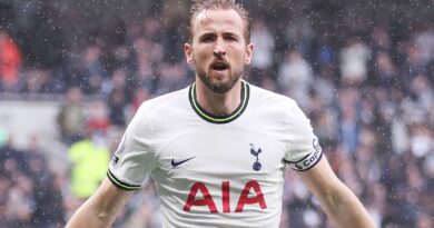 Harry Kane celebrates after putting Spurs ahead