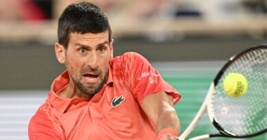 Novak Djokovic overcame a battling Marton Fucsovics in straight sets 7-6 (7-2) 6-0 6-3 in their second round clash