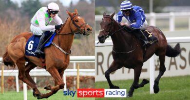 Vauban and Stratum are set to form part of Willie Mullins' Royal Ascot squad this year