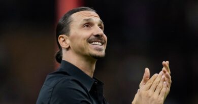 Zlatan Ibrahimovic: AC Milan star retires from football aged 41