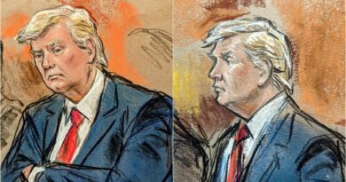 Veteran Courtroom Artist Responds to Criticism After Leftists Melt Down for Making Trump Look Too Good: "I Just Draw What I See" | The Gateway Pundit | by Jim Hoft | 120