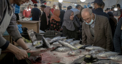 In Tuna-Obsessed Tunisia, a Favorite Food Becomes a Lot Less Affordable