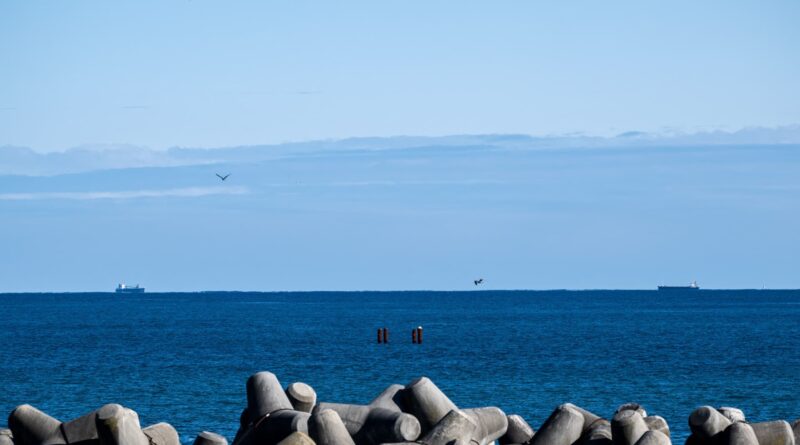 Japan to get crucial UN verdict for Fukushima water release