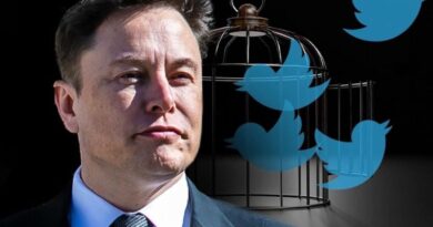 Elon Musk Announces New Daily Twitter Limitations as Users Report Issues Accessing Site | The Gateway Pundit | by Cristina Laila | 42