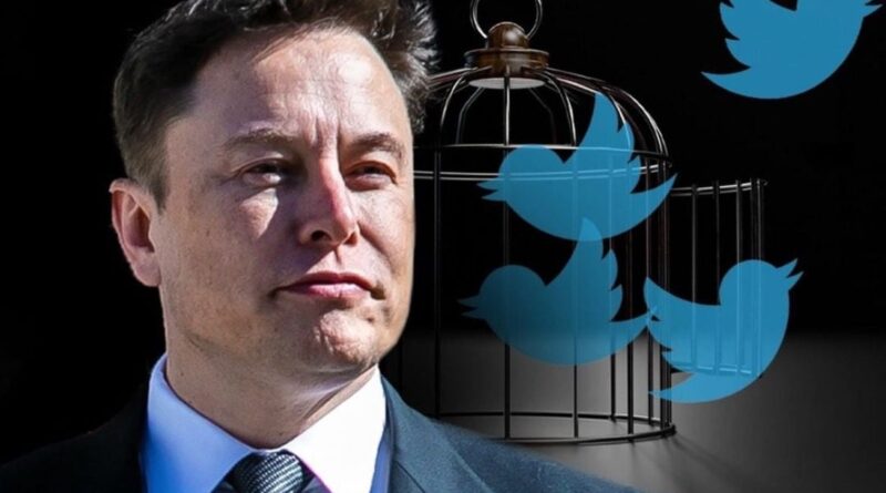 Elon Musk Announces New Daily Twitter Limitations as Users Report Issues Accessing Site | The Gateway Pundit | by Cristina Laila | 42