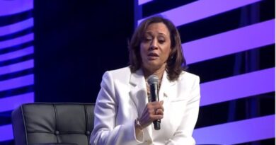 "Artificial Intelligence Czar Explains Culture" - Twitter Users Destroy Kamala Harris After She Gives "Stunning" Answer When Asked To Define Culture (VIDEO) | The Gateway Pundit | by Cullen Linebarger | 165