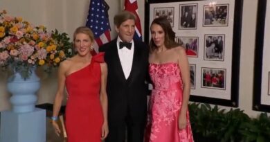 John Kerry's Pompous Daughter Lectures Reporter on Climate Change as She Strolls Into Lavish White House Party (VIDEO) | The Gateway Pundit | by Cristina Laila