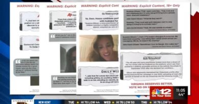 Republican Party of Virginia Takes the Gloves Off, Mails Out Thousands of Explicit Fliers About Democrat Susanna Gibson's 'HotWifeExperience' Online Sex Scandal | The Gateway Pundit | by Cristina Laila