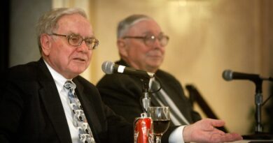 Warren Buffett on what to do during price swings — 'Volatility is a huge plus to the real investor'