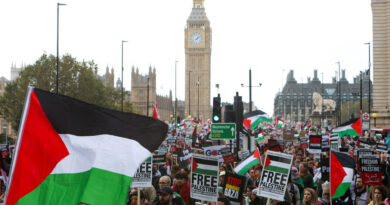 Video: Protests Held Around the World in Support of Palestinians